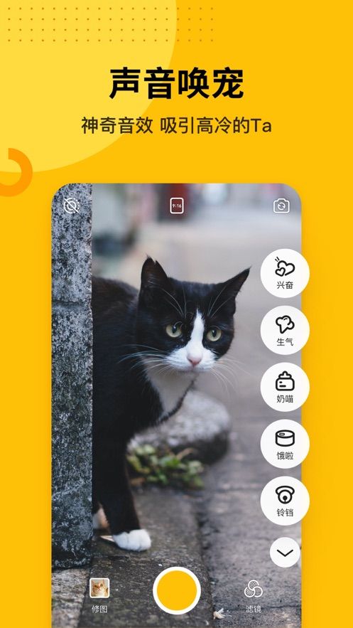 爪叽相机APP手机版下载2.8