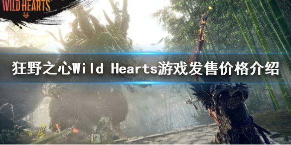 狂野之心多少钱 Wild Hearts游戏发售价格介绍