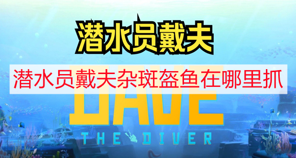 潜水员戴夫杂斑盔鱼在哪里抓 杂斑盔鱼捕捉攻略