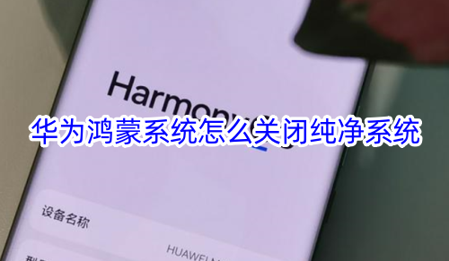 华为鸿蒙系统怎么关闭纯净系统 华为鸿蒙系统纯净模式关闭教程
